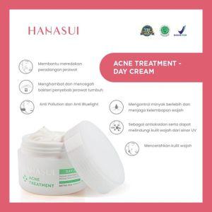 hanasui acne treatment day cream