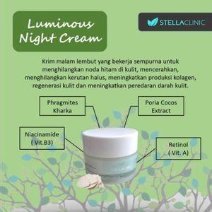 luminous night cream