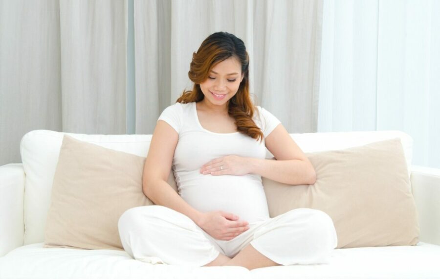 Tian Yuan Xiang Pure Chicken Essence A Good Pregnancy Companion