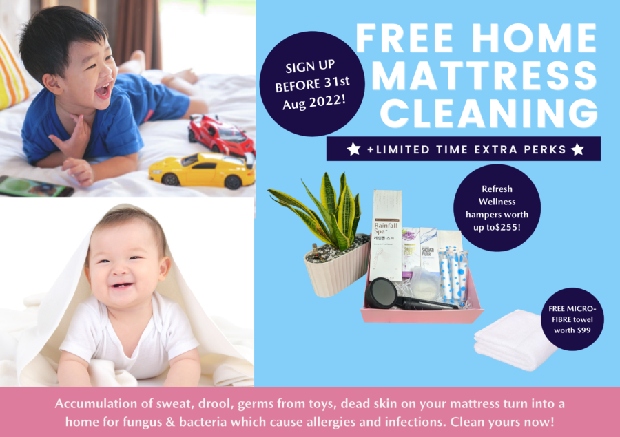 home mattress cleaning August
