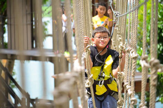 4. Take on an Obstacle Course at Forest Adventure