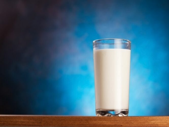Full Cream Milk Vs Skimmed Milk (2)