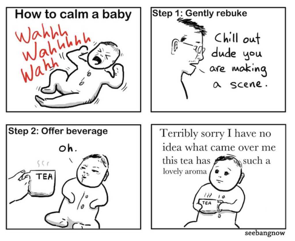 5 Parenting tips: Things Not to Say to your Children - How to calm a baby meme