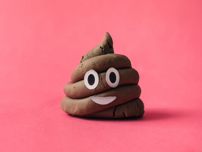 Poop… What Is Normal, What Is Not! by Dr Petrina Wong