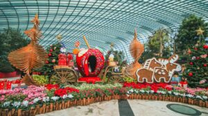 Places to Enjoy Family Time in Singapore this Christmas!