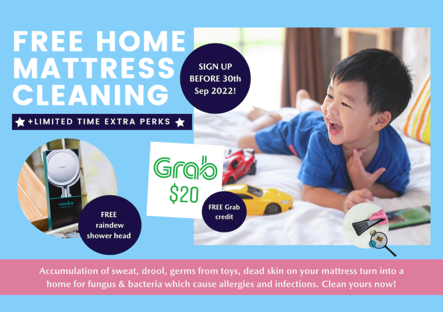 home mattress cleaning session September