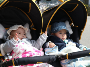 Best Double Strollers for Twins: How to Pick the Right One for Your Children