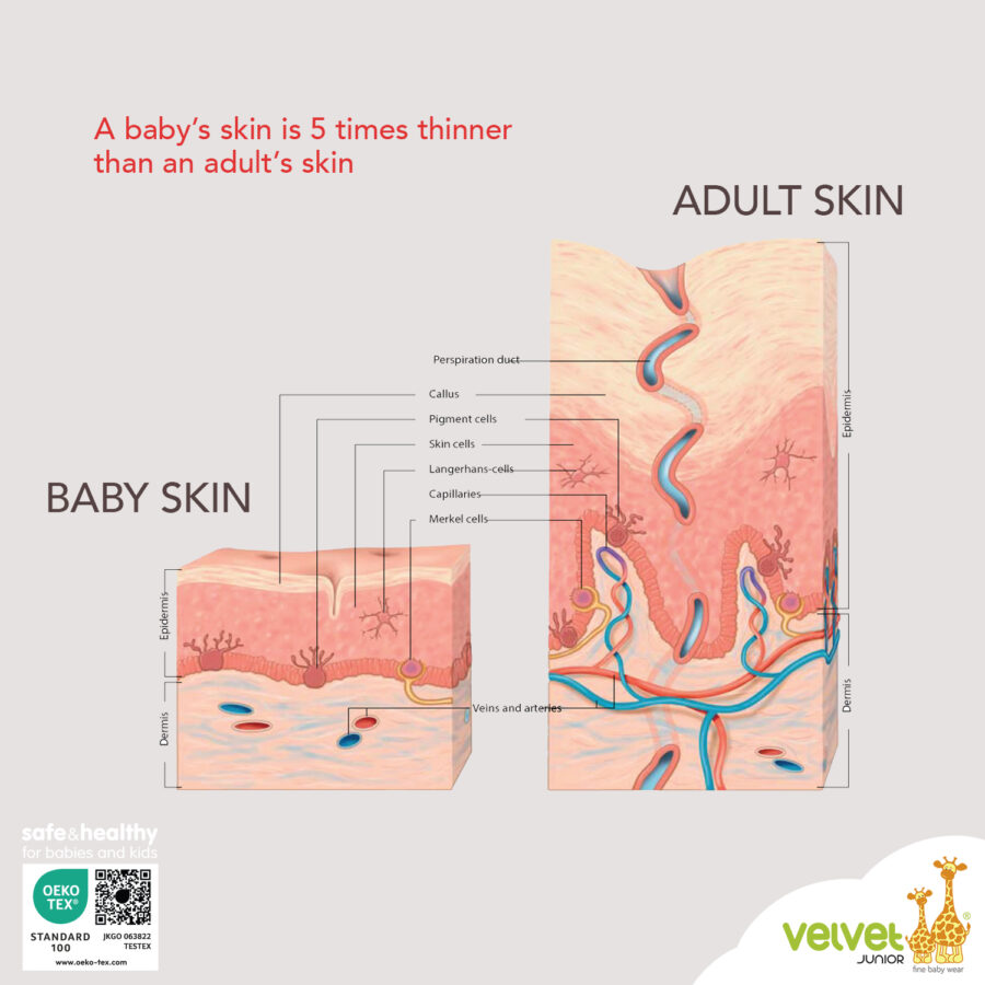 Sequence 3 (Baby VS Adult Skin)