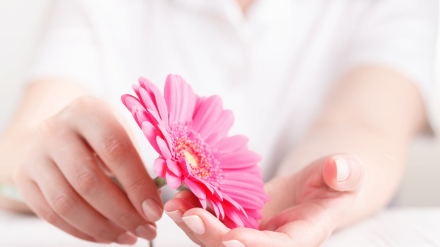 Indikator Masa Subur 