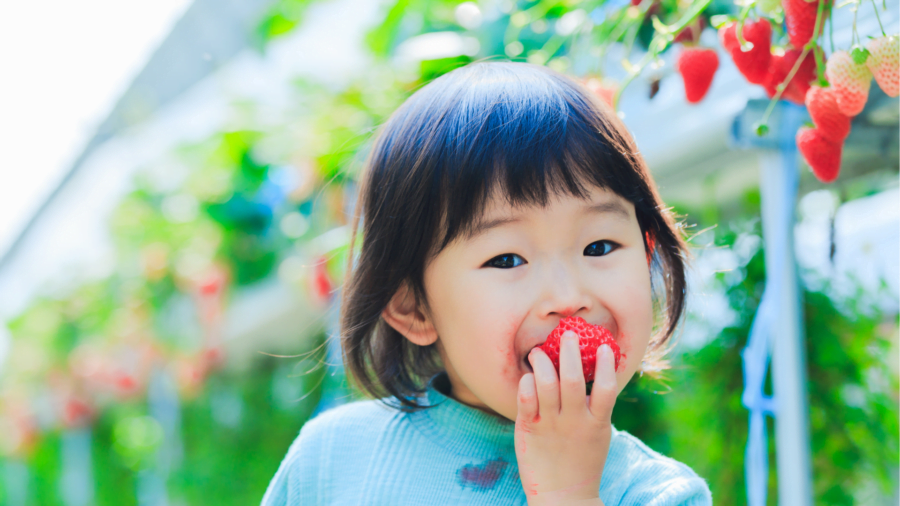 Seimbangkan Nutrisi Makanan