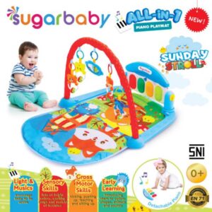 4 in1 Baby Playmat