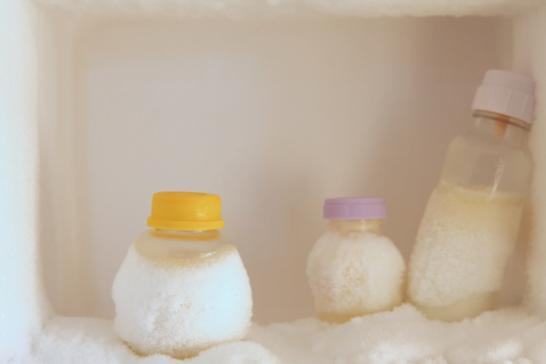 Jangan Diletakan di Lemari Es