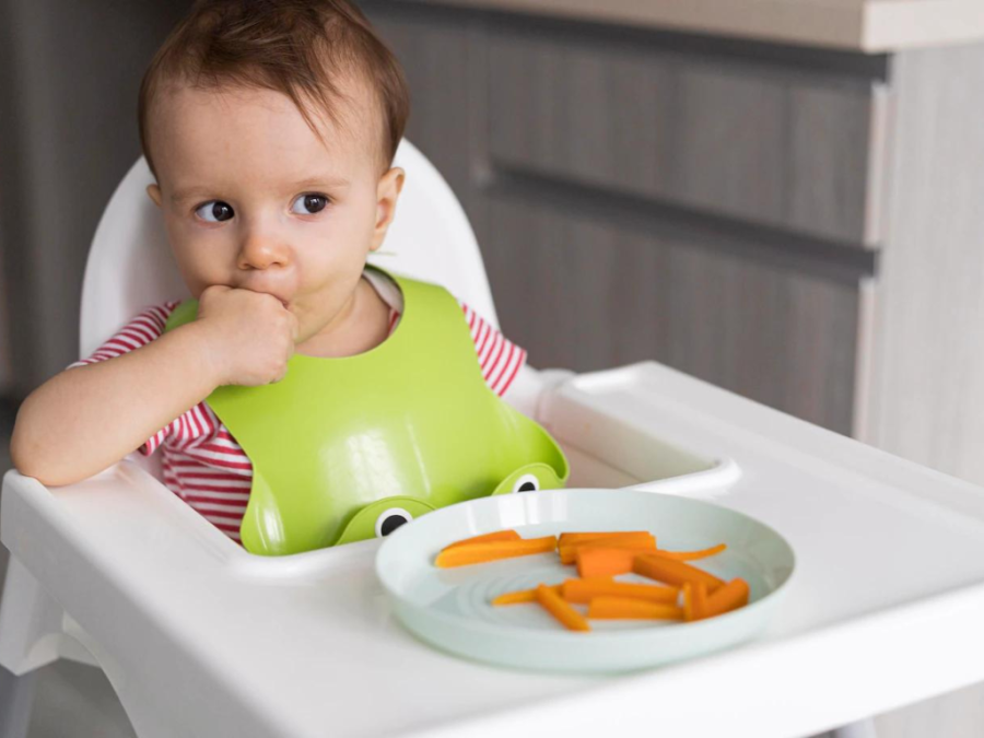Menghadapi Bayi yang Bosan Makan