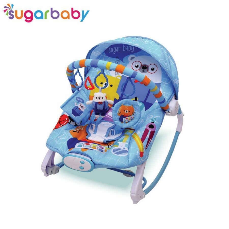2. Sugar Baby 10 in 1 Premium Rocker