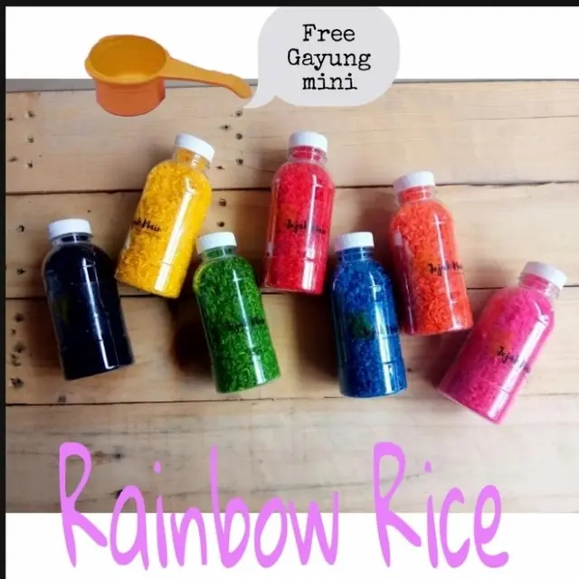 Mainan Montessori Rainbow Rice