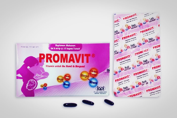 suplemen makan promavit vitamin ibu hamil dan menyusui
