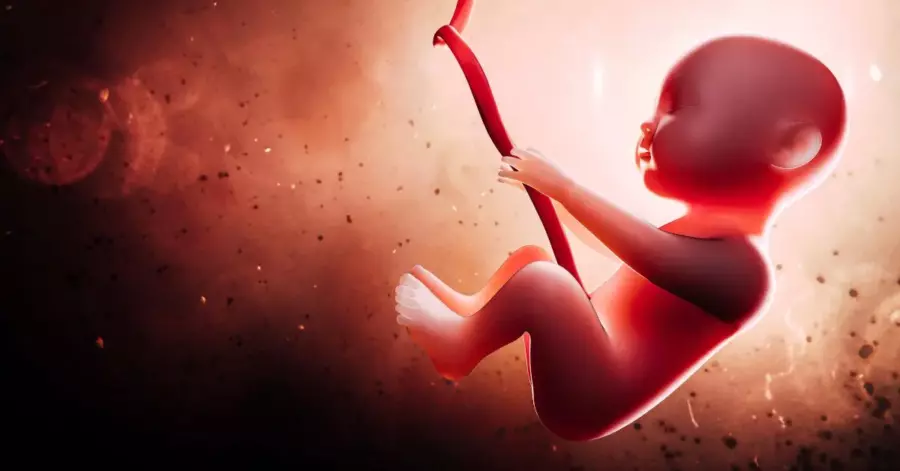 Mengapa Cairan Ketuban Amnion Dapat Membantu Proses Kelahiran?