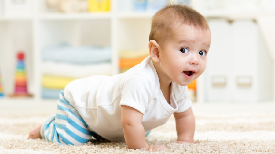 umur berapa bayi bisa merangkak