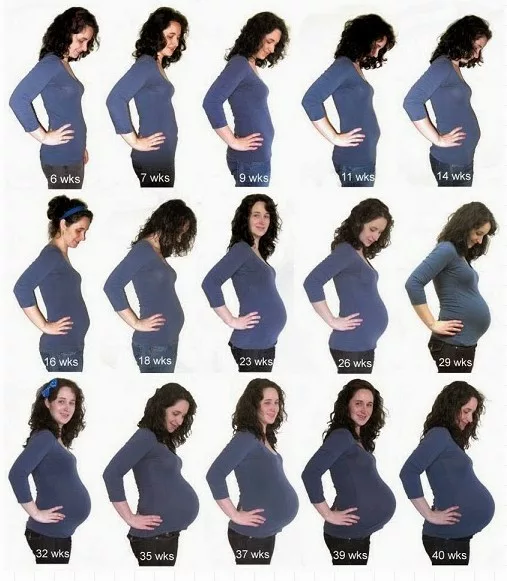 janin 5 bulan sebesar apa