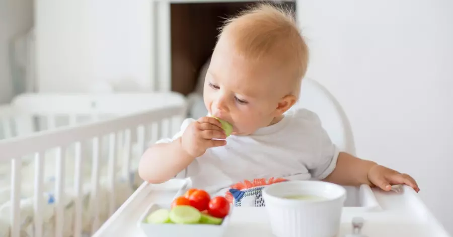 8 Rekomendasi Makanan Bayi 8 Bulan Untuk Kecerdasan Otak. Cari Tahu Juga Manfaat dan Cara Membuatnya