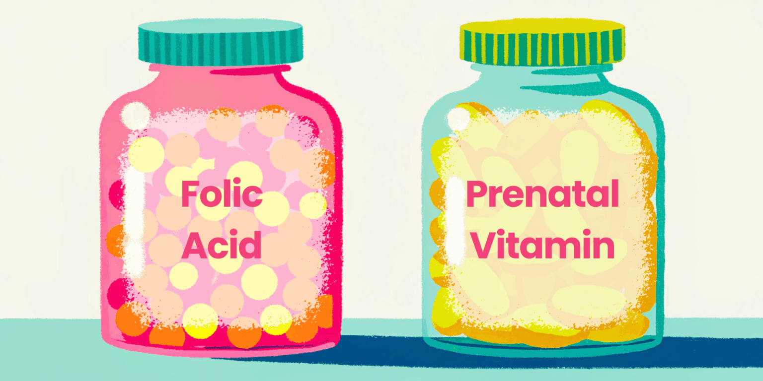 pre-pregnancy-supplements